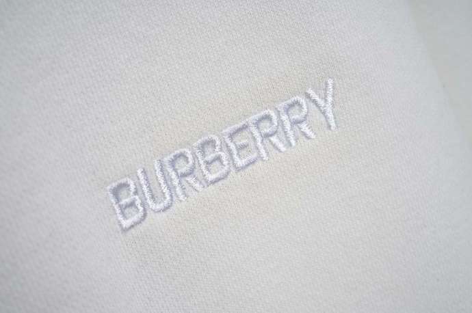 Picture of Burberry Sweatshirts _SKUBurberryM-3XL721224789